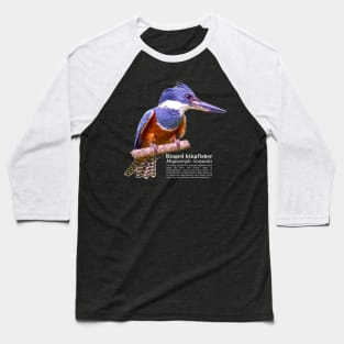 Ringed kingfisher tropical bird white text Baseball T-Shirt